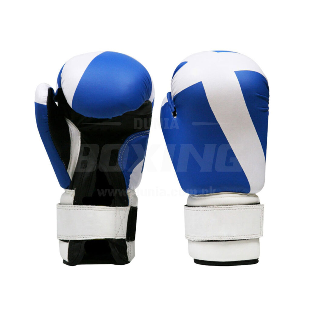 Thai Training Gloves